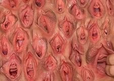 Самые красивые вагина в мире